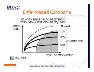 Enfermedad Coronaria
 