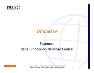 Unidad IV

           Sistemas:
Renal-Endocrino-Nervioso Central
 