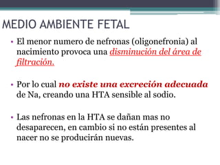MEDIO AMBIENTE FETAL
 • El menor numero de nefronas (oligonefronia) al
   nacimiento provoca una disminución del área de
   filtración.

 • Por lo cual no existe una excreción adecuada
   de Na, creando una HTA sensible al sodio.

 • Las nefronas en la HTA se dañan mas no
   desaparecen, en cambio si no están presentes al
   nacer no se producirán nuevas.
 