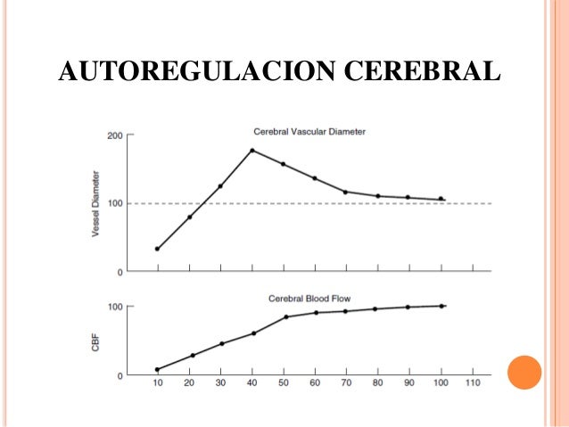 Marca y acelerador de metabolismo y quemador de grasa