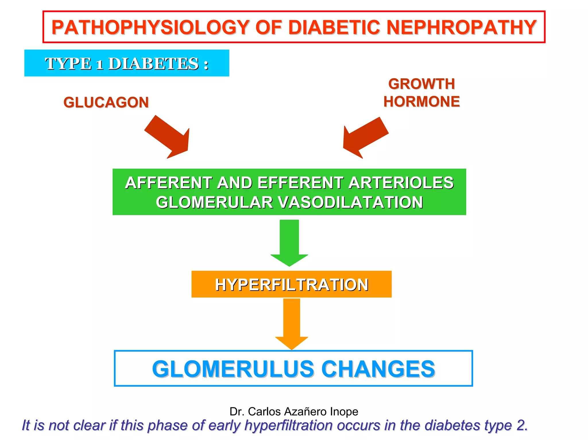 PATHOPHYSIOLOGY OF DIABETIC NEPHROPATHY PDF pathophysiology-of-diabetic-nephropathy-pdf