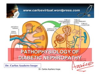PATHOPHYSIOLOGY OF
         DIABETIC NEPHROPATHY
Dr. Carlos Azañero Inope
                           Dr. Carlos Azañero Inope