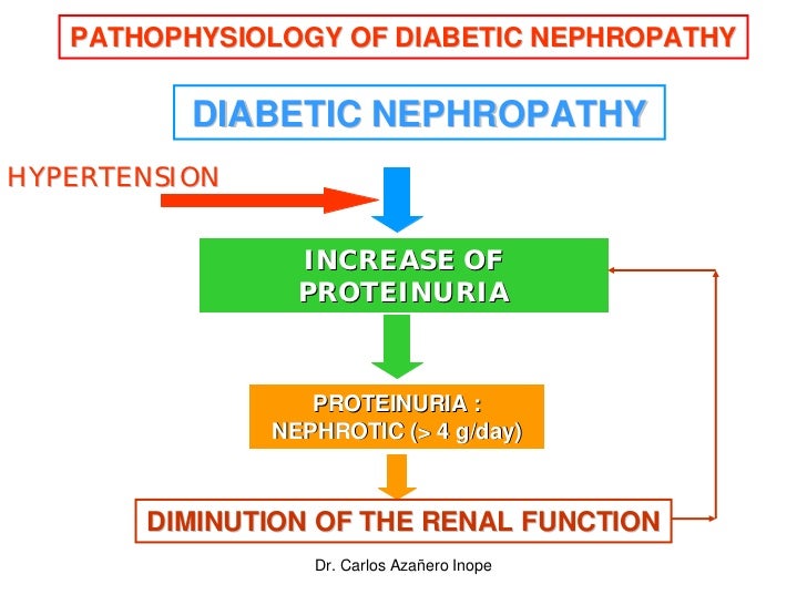 Pathophysiology of diabetic nephropathy