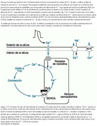 fisiopatologia de las cardiopatias-lilly-2014-1.pdf
