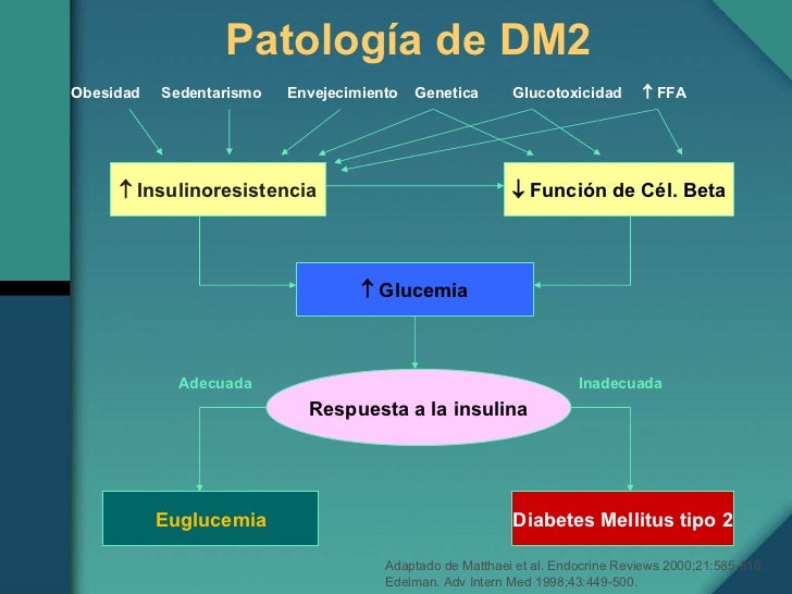 Fisiopatologia Diabetes Mellitus 2 Fisiopatologia Diabetes Mellitus 2