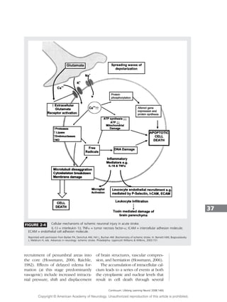 recruitment of penumbral areas into
the core (Hossmann, 2006; Raichle,
1982). Effects of delayed edema for-
mation (at this stage predominantly
vasogenic) include increased intracra-
nial pressure, shift and displacement
of brain structures, vascular compres-
sion, and herniation (Hossmann, 2006).
The accumulation of intracellular cal-
cium leads to a series of events at both
the cytoplasmic and nuclear levels that
result in cell death through several
37
Continuum: Lifelong Learning Neurol 2008;14(6)
FIGURE 2-4 Cellular mechanisms of ischemic neuronal injury in acute stroke.
IL-1b = interleukin 1b; TNF = tumor necrosis factor-; ICAM = intercellular adhesion molecule;
ECAM = endothelial cell adhesion molecule.
Reprinted with permission from Barber PA, Demchuk AM, Hirt L, Buchan AM. Biochemistry of ischemic stroke. In: Barnett HJM, Bogousslavsky
J, Meldrum H, eds. Advances in neurology: ischemic stroke. Philadelphia: Lippincott Williams  Willkins, 2003:151.
Copyright @ American Academy of Neurology. Unauthorized reproduction of this article is prohibited.
 