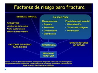 Factores de riesgo para fractura
CALIDAD OSEA
Microestructura
• Espesor
• Porosidad
• Conectividad
• Distribución
Propiedades del material
• Mineralización
• Textura del colágeno
• Distribución
DENSIDAD MINERAL
GEOMETRIA
Longitud eje de la cadera
Ancho cuello femoral
Tamaño cuerpo vertebral
FACTORES DE RIESGO
PARA CAIDAS
RESISTENCIA
OTROS FACTORES
DE RIESGO
RIESGO DE
FRACTURA
Clauss . C. Gluer. Elnhard Barkmann, Osteoporose diagnostik Krel, Klink Fur Radiologeche.
Doiagnostik Chrstian. Albertchts- Universidad Zukiel, Germany, Quantitative Ultrasound and
Bone Structura. San Francisco, California.
 