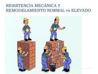 RESISTENCIA MECÁNICA Y
REMODELAMIENTO NORMAL vs ELEVADO
 