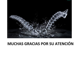 MUCHAS	
  GRACIAS	
  POR	
  SU	
  ATENCIÓN	
  
 