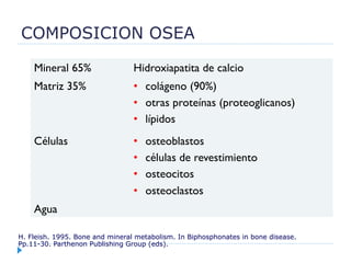 COMPOSICION OSEA
H. Fleish. 1995. Bone and mineral metabolism. In Biphosphonates in bone disease.
Pp.11-30. Parthenon Publishing Group (eds).
Mineral 65% Hidroxiapatita de calcio
Matriz 35% •  colágeno (90%)
•  otras proteínas (proteoglicanos)
•  lípidos
Células •  osteoblastos
•  células de revestimiento
•  osteocitos
•  osteoclastos
Agua
 