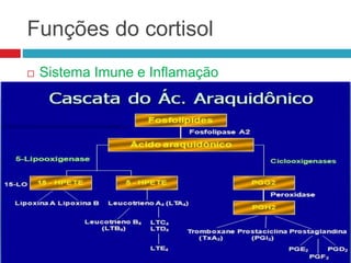 Funções do cortisol
 Sistema Imune e Inflamação
 