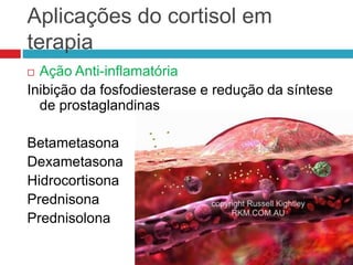 Aplicações do cortisol em
terapia
 Ação Anti-inflamatória
Inibição da fosfodiesterase e redução da síntese
de prostaglandinas
Betametasona
Dexametasona
Hidrocortisona
Prednisona
Prednisolona
 