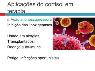 Aplicações do cortisol em
terapia
 Ação imunossupressora
Inibição das lipoxigenases
Usado em alergias,
Transplantados,
Doença auto-imune
Perigo: infecções oportunistas
 