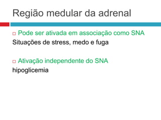 Região medular da adrenal
 Pode ser ativada em associação como SNA
Situações de stress, medo e fuga
 Ativação independente do SNA
hipoglicemia
 