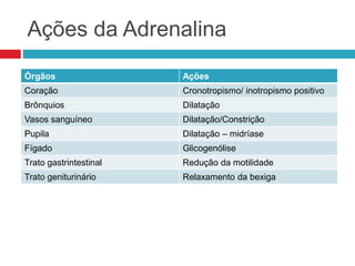Ações da Adrenalina
Órgãos Ações
Coração Cronotropismo/ inotropismo positivo
Brônquios Dilatação
Vasos sanguíneo Dilatação/Constrição
Pupila Dilatação – midríase
Fígado Glicogenólise
Trato gastrintestinal Redução da motilidade
Trato geniturinário Relaxamento da bexiga
 