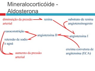 Mineralocorticóide -
Aldosterona
 