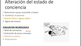 Fisiopatologia - alteraciones del estado de conciencia | PDF