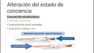 Fisiopatologia - alteraciones del estado de conciencia | PDF