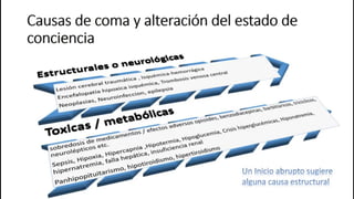 Fisiopatologia - alteraciones del estado de conciencia | PDF