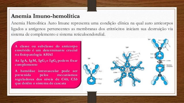 Fisiopatologia Anemia HemolÃtica(Pre-Hpatica)