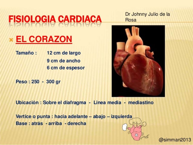 Fisiologia Cardiaca - Generalidades y Ciclo Cardiaco