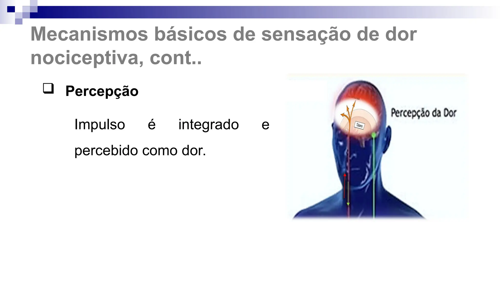  Percepção
Impulso é integrado e
percebido como dor.
Mecanismos básicos de sensação de dor
nociceptiva, cont..
 