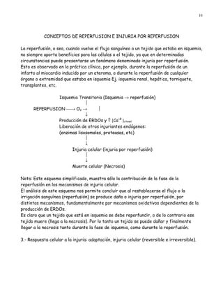 10




            CONCEPTOS DE REPERFUSION E INJURIA POR REPERFUSION

La reperfusión, o sea, cuando vuelve el flujo sanguíneo a un tejido que estaba en isquemia,
no siempre aporta beneficios para las células o el tejido, ya que en determinadas
circunstancias puede presentarse un fenómeno denominado injuria por reperfusión.
Esto es observado en la práctica clínica, por ejemplo, durante la reperfusión de un
infarto al miocardio inducido por un ateroma, o durante la reperfusión de cualquier
órgano o extremidad que estaba en isquemia Ej. isquemia renal, hepática, torniquete,
transplantes, etc.

               Isquemia Transitoria (Isquemia → reperfusión)
                            
      REPERFUSION → O2 →         
                            ↓
               Producción de ERDOs y ⇑ [Ca+2 ]citosol
               Liberación de otros injuriantes endógenos:
               (enzimas lisosomales, proteasas, etc)
                            
                            ↓
                     Injuria celular (injuria por reperfusión)
                            
                            ↓
                     Muerte celular (Necrosis)

Nota: Este esquema simplificado, muestra sólo la contribución de la fase de la
reperfusión en los mecanismos de injuria celular.
El análisis de este esquema nos permite concluir que al restablecerse el flujo o la
irrigación sanguínea (reperfusión) se produce daño o injuria por reperfusión, por
distintos mecanismos, fundamentalmente por mecanismos oxidativos dependientes de la
producción de ERDOs.
Es claro que un tejido que está en isquemia se debe reperfundir, o de lo contrario ese
tejido muere (llega a la necrosis). Por lo tanto un tejido se puede dañar y finalmente
llegar a la necrosis tanto durante la fase de isquemia, como durante la reperfusión.

3.- Respuesta celular a la injuria: adaptación, injuria celular (reversible e irreversible).
 
