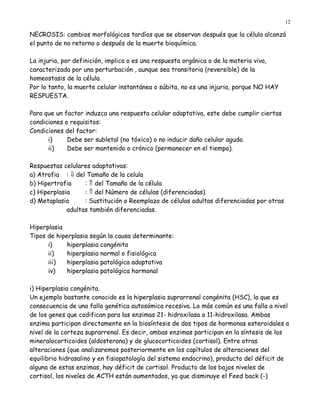 12

NECROSIS: cambios morfológicos tardíos que se observan después que la célula alcanzó
el punto de no retorno o después de la muerte bioquímica.

La injuria, por definición, implica o es una respuesta orgánica o de la materia viva,
caracterizada por una perturbación , aunque sea transitoria (reversible) de la
homeostasis de la célula.
Por lo tanto, la muerte celular instantánea o súbita, no es una injuria, porque NO HAY
RESPUESTA.

Para que un factor induzca una respuesta celular adaptativa, este debe cumplir ciertas
condiciones o requisitos:
Condiciones del factor:
      i)     Debe ser subletal (no tóxico) o no inducir daño celular agudo.
      ii)    Debe ser mantenido o crónico (permanecer en el tiempo).

Respuestas celulares adaptativas:
a) Atrofia : ⇓ del Tamaño de la celula
b) Hipertrofia     : ⇑ del Tamaño de la célula
c) Hiperplasia     : ⇑ del Número de células (diferenciadas)
d) Metaplasia      : Sustitución o Reemplazo de células adultas diferenciadas por otras
             adultas también diferenciadas.

Hiperplasia
Tipos de hiperplasia según la causa determinante:
      i)     hiperplasia congénita
      ii)    hiperplasia normal o fisiológica
      iii)   hiperplasia patológica adaptativa
      iv)    hiperplasia patológica hormonal

i) Hiperplasia congénita.
Un ejemplo bastante conocido es la hiperplasia suprarrenal congénita (HSC), la que es
consecuencia de una falla genética autosómica recesiva. Lo más común es una falla a nivel
de los genes que codifican para las enzimas 21- hidroxilasa o 11-hidroxilasa. Ambas
enzima participan directamente en la biosíntesis de dos tipos de hormonas esteroidales a
nivel de la corteza suprarrenal. Es decir, ambas enzimas participan en la síntesis de los
mineralocorticoides (aldosterona) y de glucocorticoides (cortisol). Entre otras
alteraciones (que analizaremos posteriormente en los capítulos de alteraciones del
equilibrio hidrosalino y en fisiopatología del sistema endocrino), producto del déficit de
alguna de estas enzimas, hay déficit de cortisol. Producto de los bajos niveles de
cortisol, los niveles de ACTH están aumentados, ya que disminuye el Feed back (-)
 