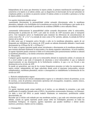 15

Independiente de la causa que determina la injuria celular, la primera manifestación morfológica que
caracteriza a la injuria es el edema celular, que se diagnostica al microscopio de luz por presentar un
citoplasma pálido y un núcleo en posición normal. El edema celular es reversible o pertenece a la fase
de injuria celular reversible.

Los agentes injuriantes pueden actuar:
-aumentando directamente la permeabilidad celular actuando directamente sobre la membrana
plasmática, dañando a los fosfolípidos de la membrana por acción de las fosfolipasas o por medio de la
peroxidación lipídica induciendo la producción de oxidantes (ERDOs u otros radicales libres).

-aumentando indirectamente la permeabilidad celular actuando directamente sobre la mitocondria,
disminuyendo la producción de ATP y por ende los niveles de ATP necesarios para el transporte
activo. Este transporte activo es fundamental para mantener las diferencias de concentraciones de
ciertos iones (Na+, K+ y Ca+2). La entrada de iones como el Na+ permite, además, la entrada de H2O al
interior de la célula.
Se debe notar que el transporte activo llevado a cabo en la membrana plasmática, aparte de ser
bloqueado por inhibidores de la síntesis de ATP, puede ser además disminuido dañando o inactivando
directamente las ATPasas Na+/K+ o ATPasa Ca+2.
Por lo tanto, el agente injuriante puede actuar inicialmente o directamente en la membrana plasmática,
pero termina alterando finalmente la mitocondria y los demás organelos subcelulares. Al revés también,
un agente injuriante puede comenzar el daño en la mitocondria pero posteriormente también se alterará
la membrana plasmática, y las demás estructuras subcelulares.
b.- Mitocondria
Cualquier agente injuriante que actúe en la mitocondria alterará la respiración celular, el consumo de
O2 a nivel celular y por ende el transporte de electrones a nivel mitocondrial, lo que se traducirá
inequívocamente en una disminución de la fosforilación oxidativa, lo que a su vez llevará a una
disminución en los niveles de ATP.
Se puede así generalizar, que una de los eventos bioquímicos presentes en todos los mecanismos de
injuria celular, independiente del lugar subcelular donde actuó el injuriante (mitocondria, retículo
endoplasmático, membrana plasmática, núcleo o citoesqueleto) es indudablemte la disminución de los
niveles de ATP.

c.- Retículo endoplasmático rugoso
Al alterarse la función del retículo endoplasmático rugoso se ve alterada la síntesis de proteínas, ya sea
de enzimas, como de proteínas estructurales (proteínas del citoesqueleto, receptores, canales ionicos,
transportadores transmembranosos, etc).

d.- Núcleo
Un agente injuriante puede actuar también en el núcleo, ya sea dañando la cromatina y por ende
modificando al complejo formado entre el DNA y las proteínas cromosomales (histonas y no histonas).
Un daño a nivel del DNA se puede traducir finalmente en mutaciones, proliferación celular
descontrolada, etc.
Recordar que el núcleo está rodeado por una membrana nuclear, y por ende esta estructura puede ser
dañada, cuando un agente injuriante puede actuar sobre los fosfolípidos presentes en todas las
membranas biológicas. Al respecto, agentes injuriantes que pueden modificar o alterar ácidos
nucleicos, proteínas y lípidos son los oxidantes.

e.- Citoesqueleto
 