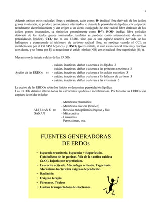 18


Además existen otros radicales libres u oxidantes, tales como: R· (radical libre derivado de los ácidos
grasos insaturado, se produce como primer intermediario durante la peroxidación lipídica, el cual puede
reordenarse electrónicamente y dar origen a un dieno conjugado de este radical libre derivado de los
ácidos grasos insaturados, se simboliza generalmente como R·Ω ), ROO· (radical libre peróxido
derivado de los ácidos grasos insaturados, también se produce como intermediario durante la
peroxidación lipídica), CCl3· (no es una ERDO, sino que es una especie reactiva derivada de los
halógenos y corresponde al tricloruro de carbono radical libre, se produce cuando el CCl4 es
metabolizado por el Cit P450 hepático), y ONO2- (peroxinitrilo, el cual es un radical libre muy reactivo
u oxidante, y se forma por Ej. al reaccionar el óxido nítrico (NO) con el radical libre superóxido (O2-)).

Mecanismo de injuria celular de las ERDOs

                              - oxidan, inactivan, dañan o alteran a los lípidos 3
                              - oxidan, inactivan, dañan o alteran a las proteínas (enzimas) 3
Acción de las ERDOs      ⇐    - oxidan, inactivan, dañan o alteran a los ácidos nucleicos 3
                              - oxidan, inactivan, dañan o alteran a los hidratos de carbono 3
                              - oxidan, inactivan, dañan o alteran a las vitaminas 3

La acción de las ERDOs sobre los lípidos se denomina peroxidación lipídica.
Las ERDOs dañan o alteran todas las estructuras lipídicas o membranosas. Por lo tanto las ERDOs son
capaces de oxidar o dañar:

                                     - Membrana plasmática
                                     - Membrana nuclear (Núcleo)
               ALTERAN O ⇐           - Retículo endoplásmico rugoso y liso
               DAÑAN                 - Mitocondria
                                     - Lisosomas
                                     - Peroxisomas, etc.




                    FUENTES GENERADORAS
                          DE ERDOs
                 • Isquemia transitoria. Isquemia + Reperfusión.
                   Catabolismo de las purinas. Vía de la xantina oxidasa
                   (X.O.). Injuria por reperfusión.
                 • Leucocito activado. Macrófago activado. Fagocitosis.
                   Mecanismo bactericida oxígeno dependiente.
                 • Radiación
                 • Oxígeno terapia
                 • Fármacos. Tóxicos
                 • Cadena transportadora de electrones
 