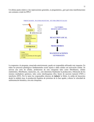 22

Un último punto relativo a las repercusiones generales, es preguntarnos, ¿por qué estas manifestaciones
son comunes a todo los PPFs?



                      PROCESOS              PATOLOGICOS FUNDAMENTALES

                   Ag Injuriante                 -Inflamación
                                                 -Infarto            FACTORES
                                                 -Neoplasia      DESENCADENANTES
                               TEJIDO            -Infección

                                     DAÑO CELULAR

                          Macrófagos
                          Fibroblastos
                          Células Endoteliales
                                                                REACCION LOCAL
                          Epiteliales
                          Mastocitos



                           CITOQUINAS                            MEDIADORES


                - Fiebre
                - Leucocitosis                                  MANIFESTACIONES
                - Síntesis de proteínas de fase aguda             GENERALES
                - ⇑ VHS




La respuesta a la pregunta, enunciada anteriormente, puede ser respondida utilizando este esquema. En
todos los procesos patológicos fundamentales existe injuria o daño celular con activación celular. Se
activan una serie de células, productoras de esta citoquinas tales como fibroblastos, células
endoteliales, fibroblastos, mastocitos, etc., esto determina finalmente la producción y liberación de los
mismos mediadores químicos, tales como interleuquinas (Ils), factor de necrosis tumoral (TNF) e
interferón (INT). Por lo tanto los responsables directos de inducir la fiebre, la salida de leucocitos
desde la médula ósea, la producción hepática de proteínas de la fase aguda y alterar la velocidad de
sedimentación hemática, son esta citoquinas.
 