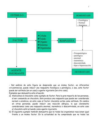 3




 ESTIMULO                                                                 HOMEOSTASIS

                                                                           - Fisiológica
                                                                           - Normal
                                                                           - Armónica




                               GCélula
                               FTejido
   FACTOR                                              RESPUESTA
                               FOrgano
                               FSistema
                               FOrganismo

                                                                      - Fisiopatológica
                                                                      - patológica
                                                                      - anormal
                                                                      - inarmónica
                                                                      - descontrolada
                                                                      - hipo o hiperreacción

  AGENTE
                                                                        HETEROSTASIS
INJURIANTE



- Del análisis de esta figura se desprende que un mismo factor, en diferentes
circunstancias, puede inducir una respuesta fisiológica o patológica, o sea, este factor
puede ser estímulo (en un caso) o agente injuriante (en otro caso).
Ejemplos que demuestra esta situación:
a) Analicemos al chocolate como ejemplo de factor. Para la gran mayoría de las personas,
   al ser consumido un chocolate, éste produce una respuesta que puede ser considerada
   normal o armónica, en este caso el factor chocolate actúa como estímulo. En cambio
   en otras personas, puede inducir una reacción alérgica, la que claramente
   consideramos como una respuesta anormal, inarmónica o descontrolada, en este caso
   el chocolate está actuando como agente injuriante.
b) El siguiente ejemplo también demuestra que no todos los organismos reaccionan igual
   frente a un mismo factor. En la actualidad se ha comprobado que no todos los
 