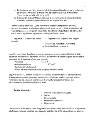 6

       c) Inhibición de los citocromos a nivel de la respiración celular o de la utilización
          del oxígeno, inhibiendo el transporte de electrones a nivel mitocondrial
          (Intoxicación por CN-, CO, N3- y H2S).
       d) Disminución de la ventilación pulmonar (Hipoventilación). Ejemplo: Enfisema
          pulmonar, neumonia, depresión del centro respiratorio, etc.

-   Anoxia: No hay aporte de O2 (es equivalente a la falta completa de oxígeno).
-   Durante la isquemia se disminuye el aporte de sangre a los tejidos, se disminuye el
    flujo sanguíneo, o la irrigación sanguínea o se disminuye la perfusión de los tejidos.
    Por lo tanto, isquemia es equivalente con hipoperfusión tisular.

       Isquemia → ⇓ Aporte de sangre        → ⇓ aporte de O2 (hipoxia) o no llega O2
    (anoxia)
                                         → ⇓ llegada de sustratos o nutrientes
                                         → ⇓ eliminación de catabolitos



Los diferentes tipos de células presentan una mayor o menor susceptibilidad al daño
isquémico. Así la muerte celular se presenta a diferentes tiempos después de iniciada la
hipoxia en las diferentes células, por ejemplo:
      -Neuronas                         : a los 4`
      -Músculo cardíaco o                       : 30`-100`
        Epitelio del túbulo renal
      -Fibras del músculo esquelético: Después de varias horas

Según un autor, F.J.Schoen señala que la isquemia puede afectar a la célula mediante
diferentes mecanismos generales o actuando a diferentes niveles, lugares o puntos
vulnerables de las células. Se consideran 5 estructuras subcelulares que son
particularmente vulnerables al déficit de O2.



       Puntos vulnerables:
                                        -   Retículo endoplasmático rugoso
                                        -   Núcleo
                                        -   Citoesqueleto
                                        -   Membrana plasmática
                                        -   Mitocondria

La existencia de las estructuras u organelos subcelulares más susceptibles a la isquemia o
a la hipoxia, también es válida para cualquier agente injuriante. La acción de los agentes
 