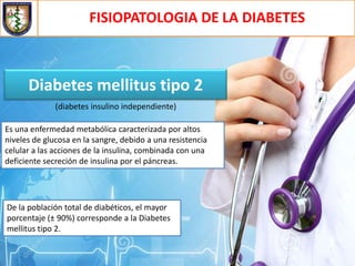 FISIOPATOLOGIA DE LA DIABETES
Diabetes mellitus tipo 2
Es una enfermedad metabólica caracterizada por altos
niveles de glucosa en la sangre, debido a una resistencia
celular a las acciones de la insulina, combinada con una
deficiente secreción de insulina por el páncreas.
De la población total de diabéticos, el mayor
porcentaje (± 90%) corresponde a la Diabetes
mellitus tipo 2.
(diabetes insulino independiente)
 