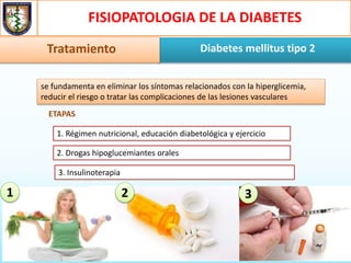 FISIOPATOLOGIA DE LA DIABETES
Diabetes mellitus tipo 2Tratamiento
se fundamenta en eliminar los síntomas relacionados con la hiperglicemia,
reducir el riesgo o tratar las complicaciones de las lesiones vasculares
3. Insulinoterapia
ETAPAS
1. Régimen nutricional, educación diabetológica y ejercicio
2. Drogas hipoglucemiantes orales
1 2 3
 