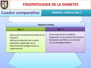 FISIOPATOLOGIA DE LA DIABETES
Diabetes mellitus tipo 2Cuadro comparativo
- Consecuencia de un defecto
progresivo en la secreción de insulina
- Resistencia periférica a la insulina
- no insulinodependiente
Diabetes mellitus
Tipo 1
- destrucción (autoinmune) total de las
células β
- deficiencia absoluta de insulina
- pacientes a dependen de la
administración exógena para su
supervivencia
Tipo 2
 
