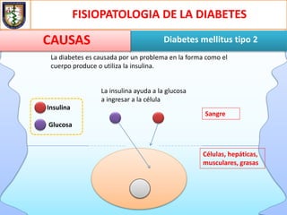 Sangre
FISIOPATOLOGIA DE LA DIABETES
Diabetes mellitus tipo 2CAUSAS
La diabetes es causada por un problema en la forma como el
cuerpo produce o utiliza la insulina.
Insulina
Glucosa
Células, hepáticas,
musculares, grasas
La insulina ayuda a la glucosa
a ingresar a la célula
 