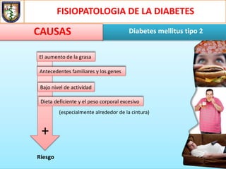 FISIOPATOLOGIA DE LA DIABETES
Diabetes mellitus tipo 2CAUSAS
Riesgo
El aumento de la grasa
Antecedentes familiares y los genes
Bajo nivel de actividad
Dieta deficiente y el peso corporal excesivo
(especialmente alrededor de la cintura)
+
 
