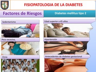 FISIOPATOLOGIA DE LA DIABETES
Diabetes mellitus tipo 2Factores de Riesgos
Sedentarismo
Peso excesivo,
Edad superior a 45 años
Hipertensión
Antecedentes de diabetes gestacionalEtnia
 