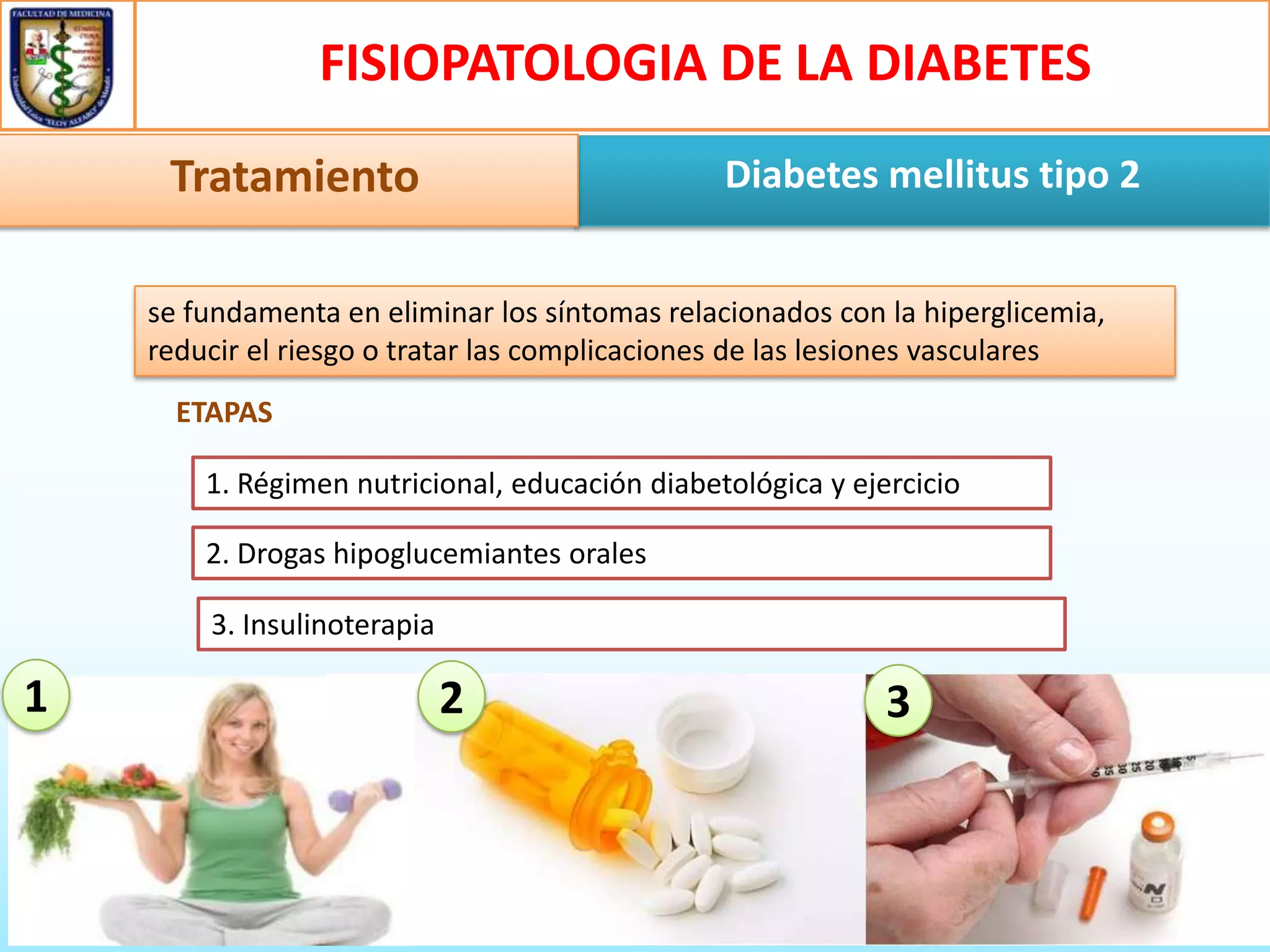 FISIOPATOLOGIA DE LA DIABETES
Tratamiento

Diabetes mellitus tipo 2

se fundamenta en eliminar los síntomas relacionados con la hiperglicemia,
reducir el riesgo o tratar las complicaciones de las lesiones vasculares
ETAPAS
1. Régimen nutricional, educación diabetológica y ejercicio
2. Drogas hipoglucemiantes orales

3. Insulinoterapia

1

2

3

 