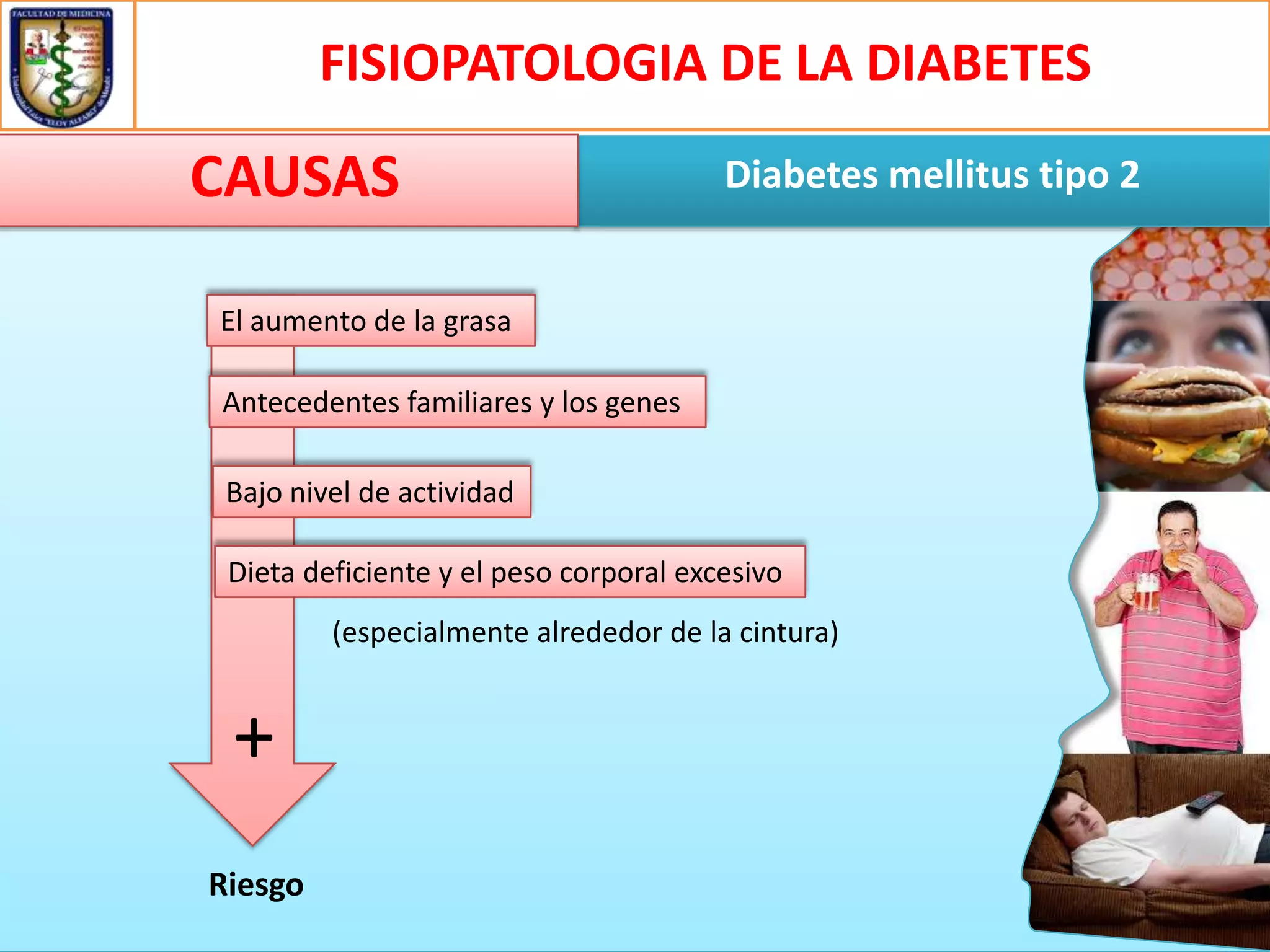 FISIOPATOLOGIA DE LA DIABETES

CAUSAS

Diabetes mellitus tipo 2

El aumento de la grasa
Antecedentes familiares y los genes
Bajo nivel de actividad
Dieta deficiente y el peso corporal excesivo
(especialmente alrededor de la cintura)

+
Riesgo

 