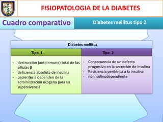Fisiopatologia de la diabetes mellitus tipo 2