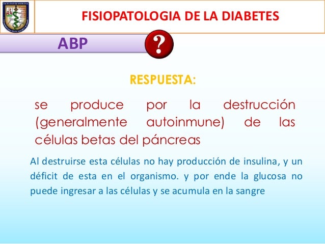 Fisiopatologia de la diabetes mellitus tipo 2 Fisiopatologia de la diabetes mellitus tipo 2
