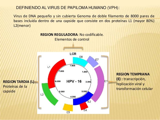 Fisiologia viral Fisiologia viral