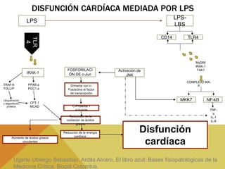 Irak Lps Fisiopatologia del corazon en sepsis | PPTX