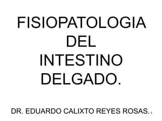1
FISIOPATOLOGIA
DEL
INTESTINO
DELGADO.
DR. EDUARDO CALIXTO REYES ROSAS.
 