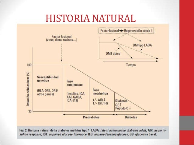 Fisiopatologia en Diabetes Mellitus tipo 1 Fisiopatologia en Diabetes Mellitus tipo 1