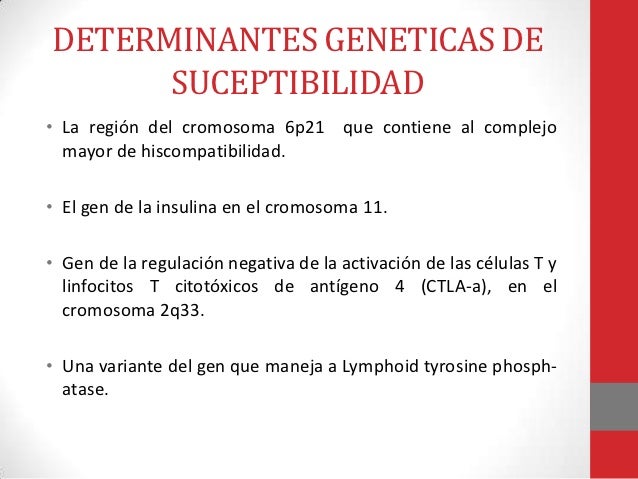 Fisiopatologia en Diabetes Mellitus tipo 1 Fisiopatologia en Diabetes Mellitus tipo 1