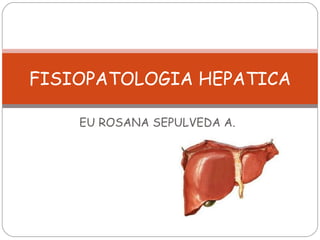 EU ROSANA SEPULVEDA A. FISIOPATOLOGIA HEPATICA 