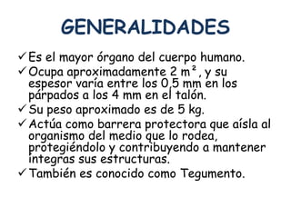 GENERALIDADES 
Es el mayor órgano del cuerpo humano. 
Ocupa aproximadamente 2 m², y su 
espesor varía entre los 0,5 mm en los 
párpados a los 4 mm en el talón. 
Su peso aproximado es de 5 kg. 
Actúa como barrera protectora que aísla al 
organismo del medio que lo rodea, 
protegiéndolo y contribuyendo a mantener 
íntegras sus estructuras. 
También es conocido como Tegumento. 
 